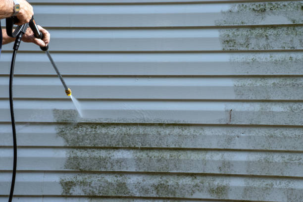 Professional Junk Removal in Leetsdale, PA